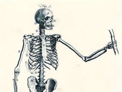 The Phenomenon of a Real Magic Skeleton: Science or Sorcery?